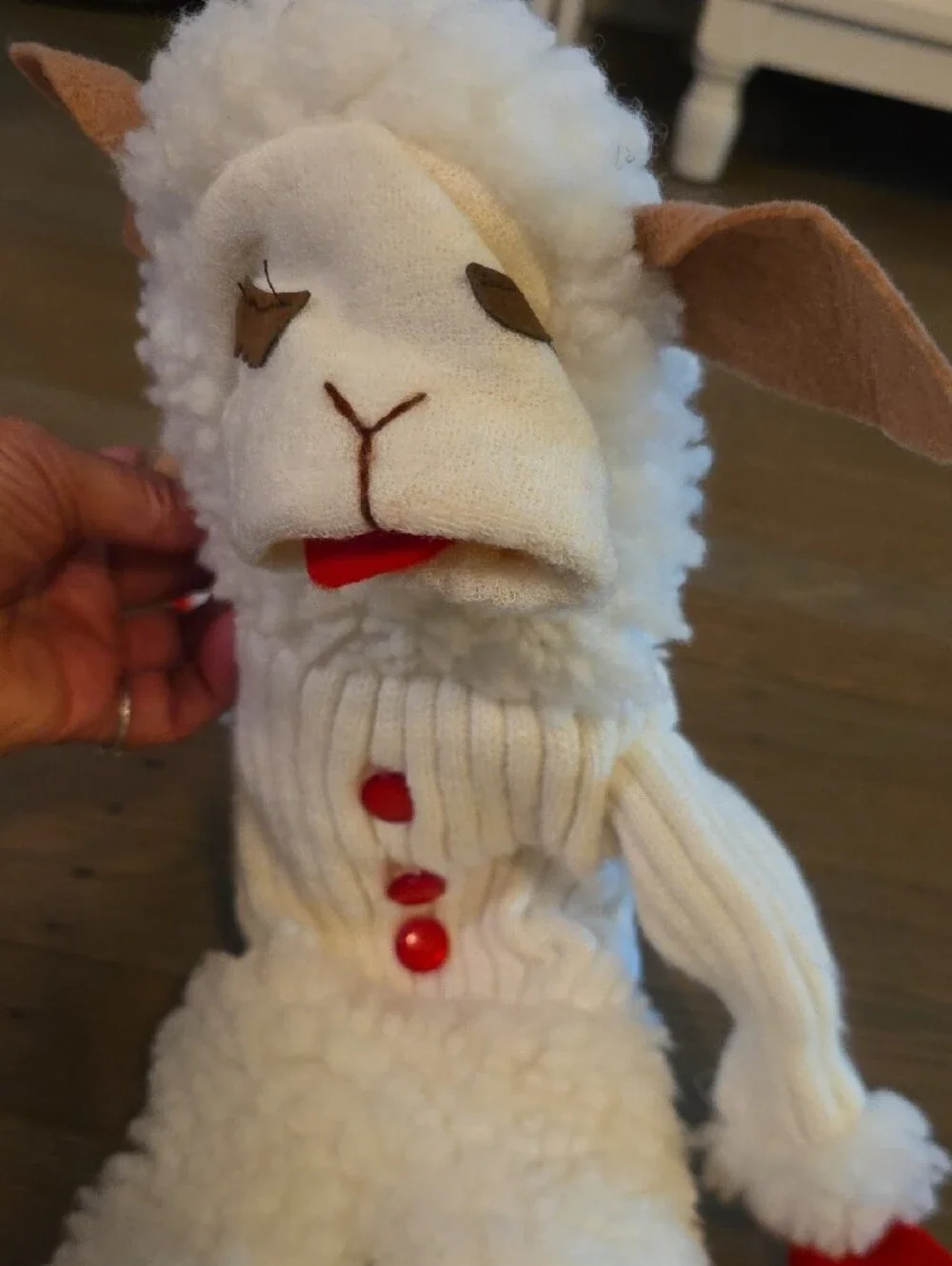 Lamb Chop playful red